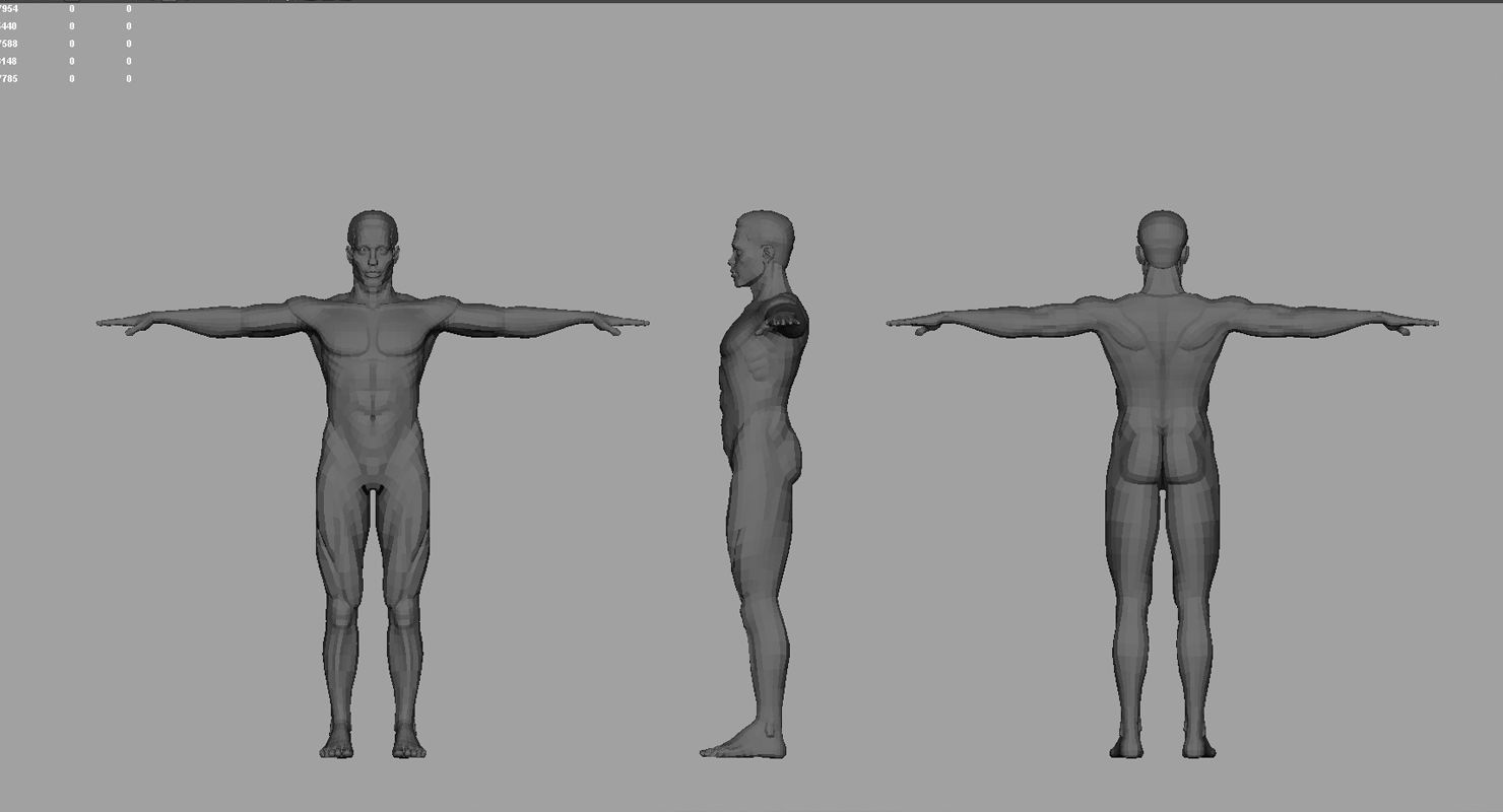 African American human body 3d model  3D model_7