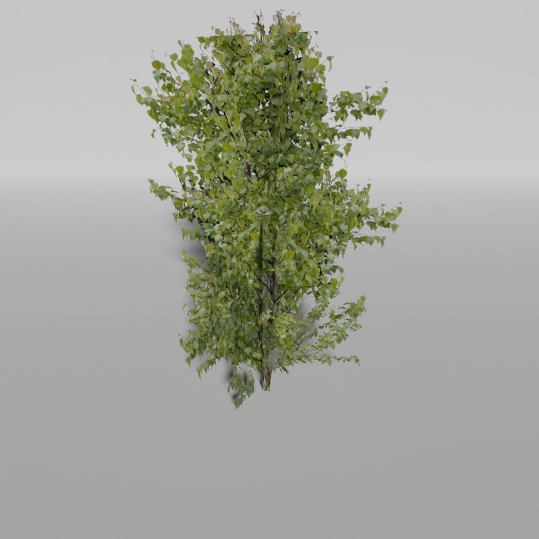 Plants Pack Low-poly 3D model_7
