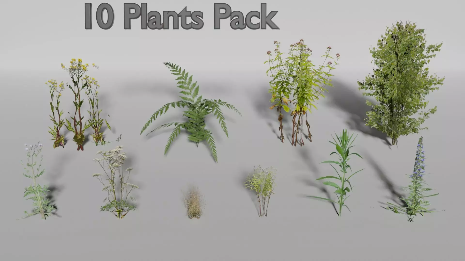 Plants Pack Low-poly 3D model_0