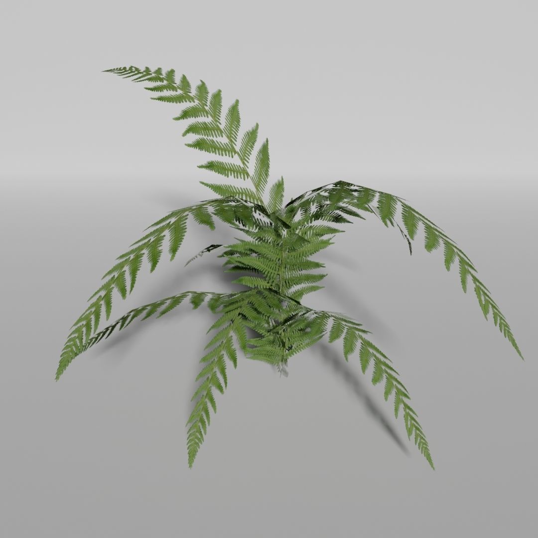 Plants Pack Low-poly 3D model_5