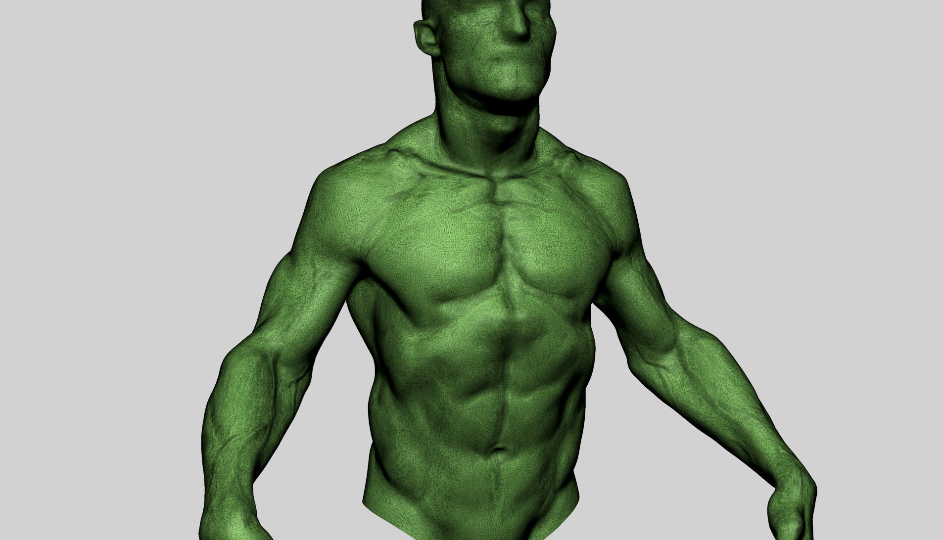 Upper Body Sculpting 3D model_8