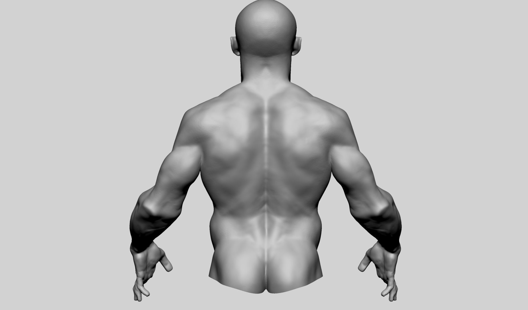 Upper Body Sculpting 3D model_4