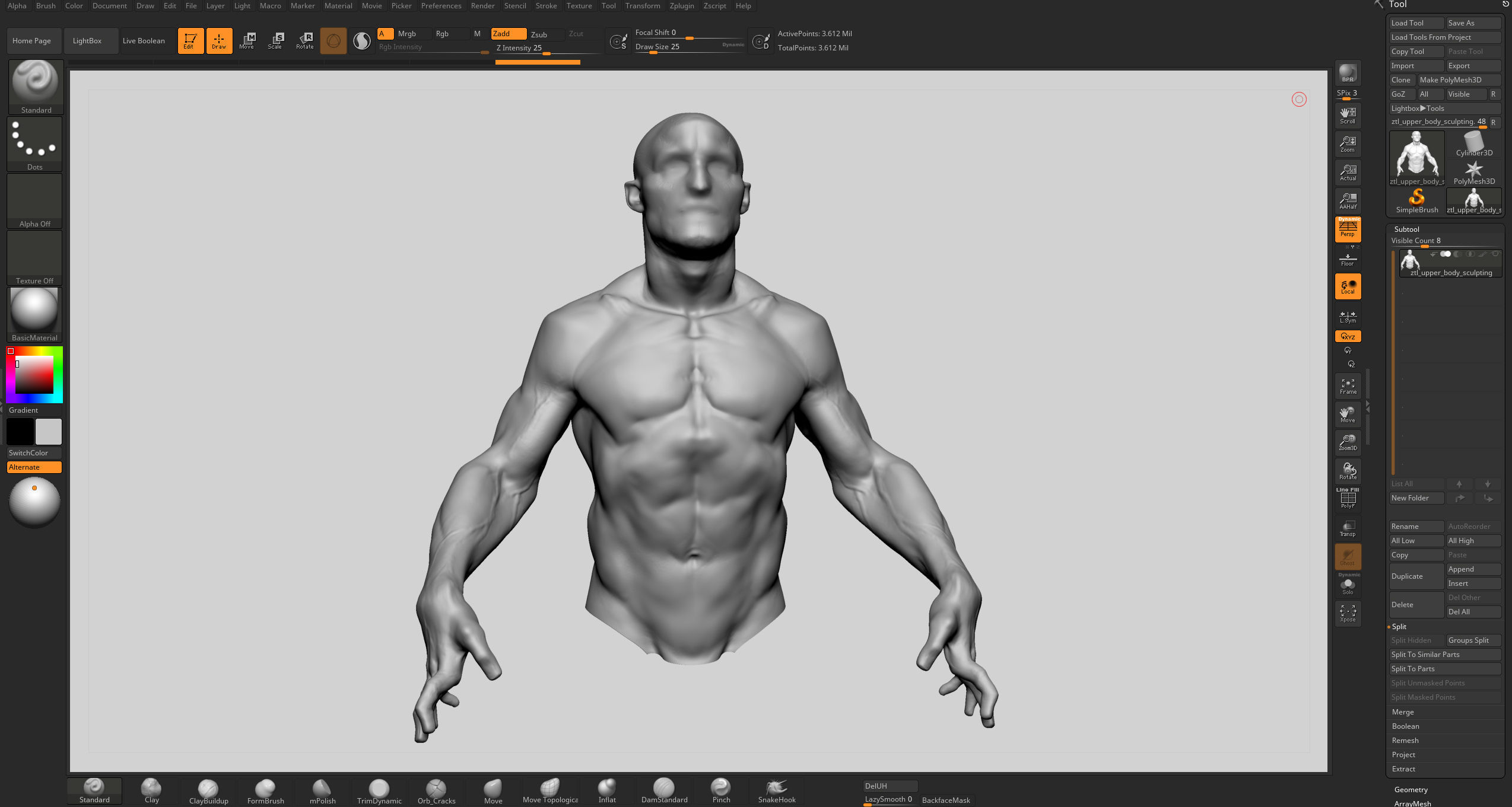 Upper Body Sculpting 3D model_9