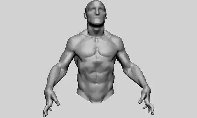 Upper Body Sculpting