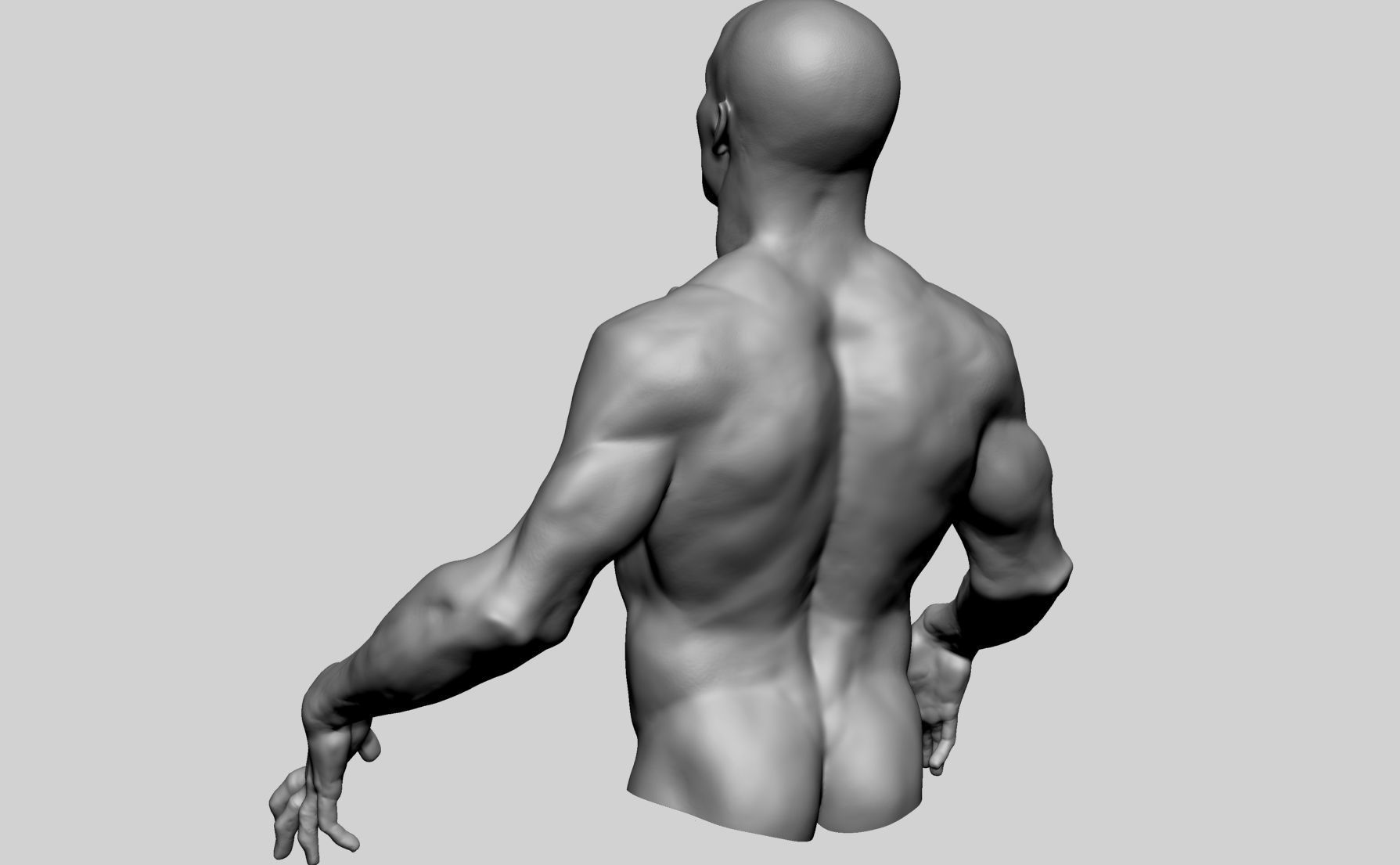 Upper Body Sculpting 3D model_5