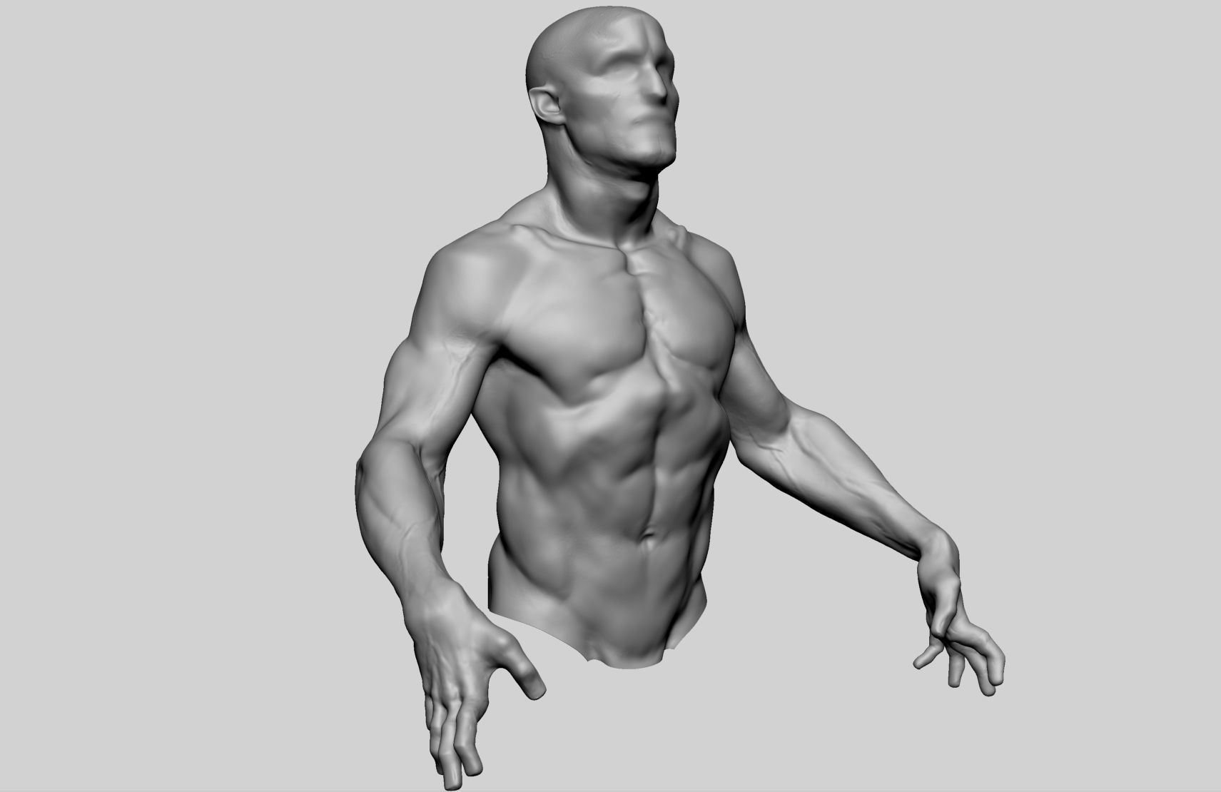 Upper Body Sculpting 3D model_1