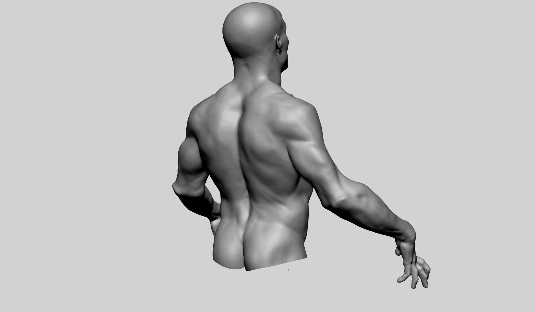 Upper Body Sculpting 3D model_3