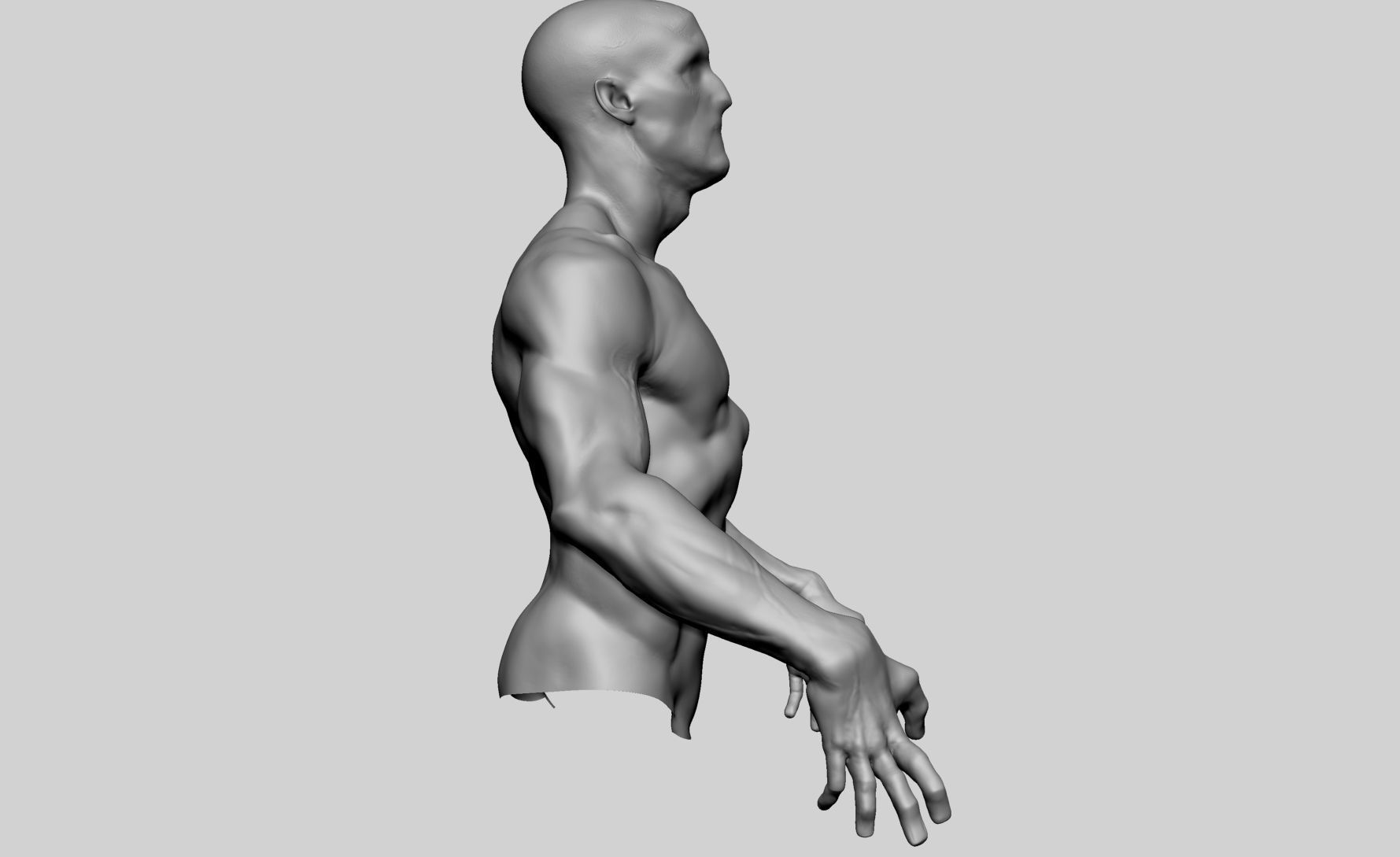 Upper Body Sculpting 3D model_2