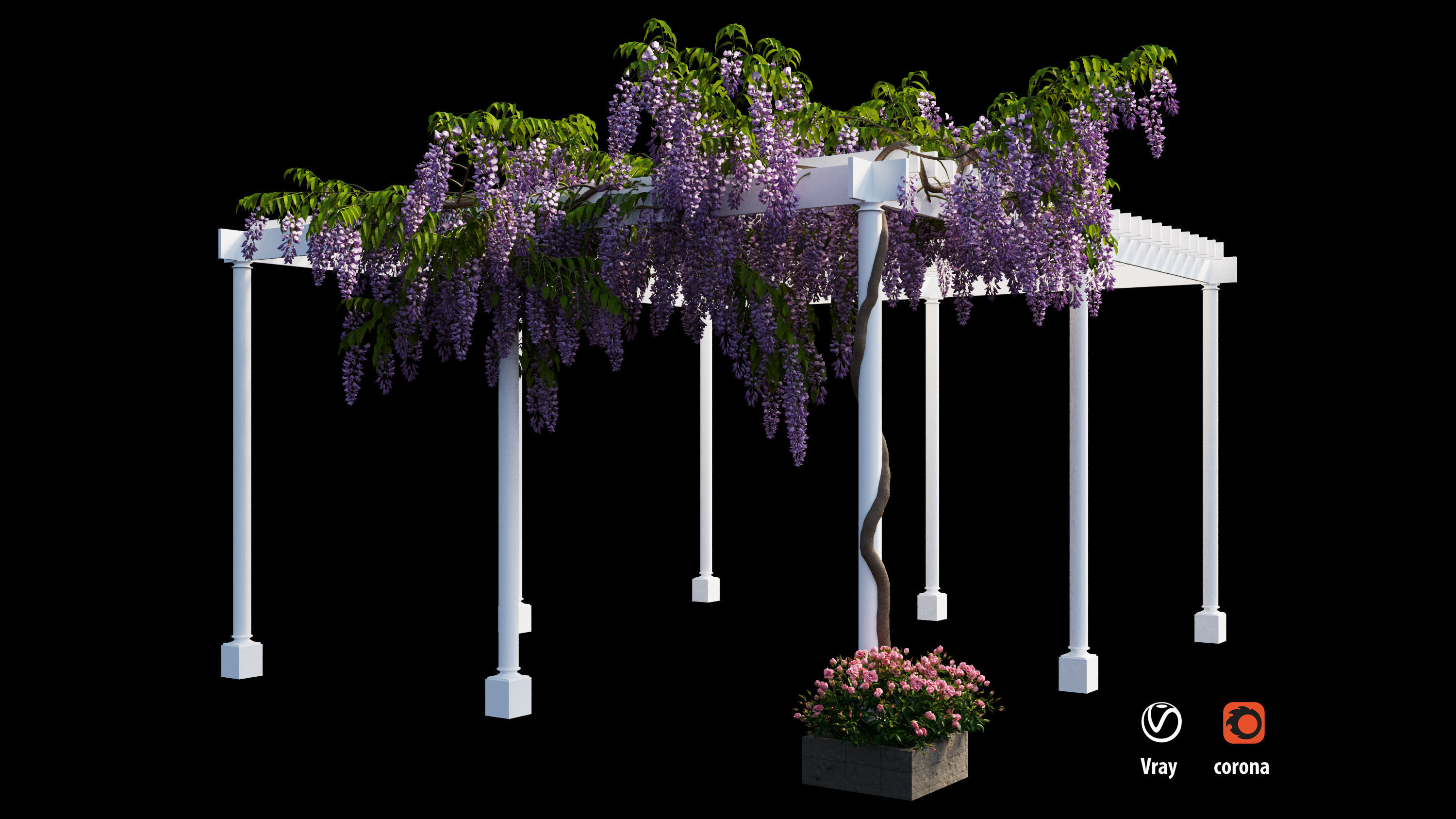 wisterial tree  3D model_7