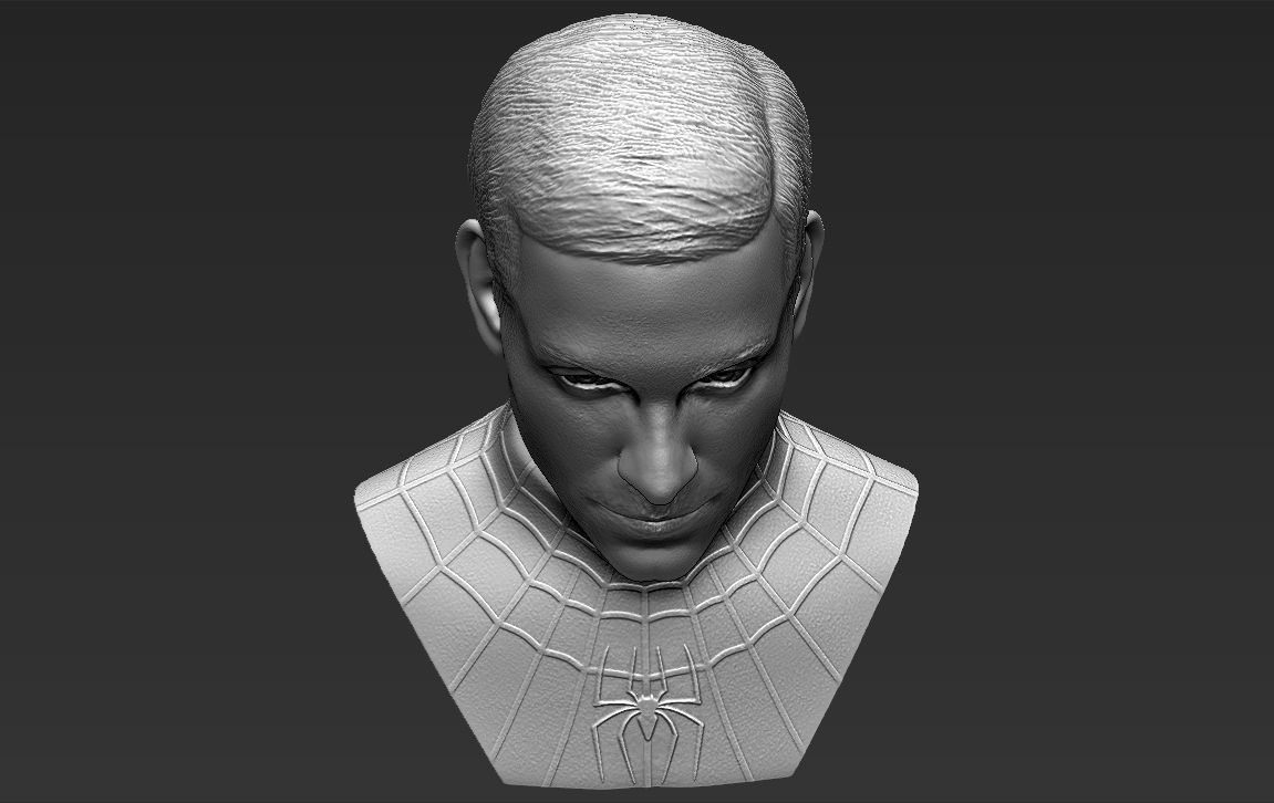Spider-Man Tobey Maguire bust 3D printing ready stl obj formats 3D print model_18
