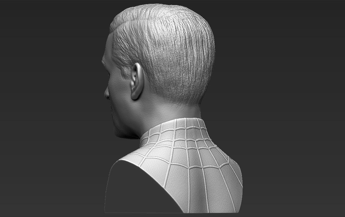 Spider-Man Tobey Maguire bust 3D printing ready stl obj formats 3D print model_9