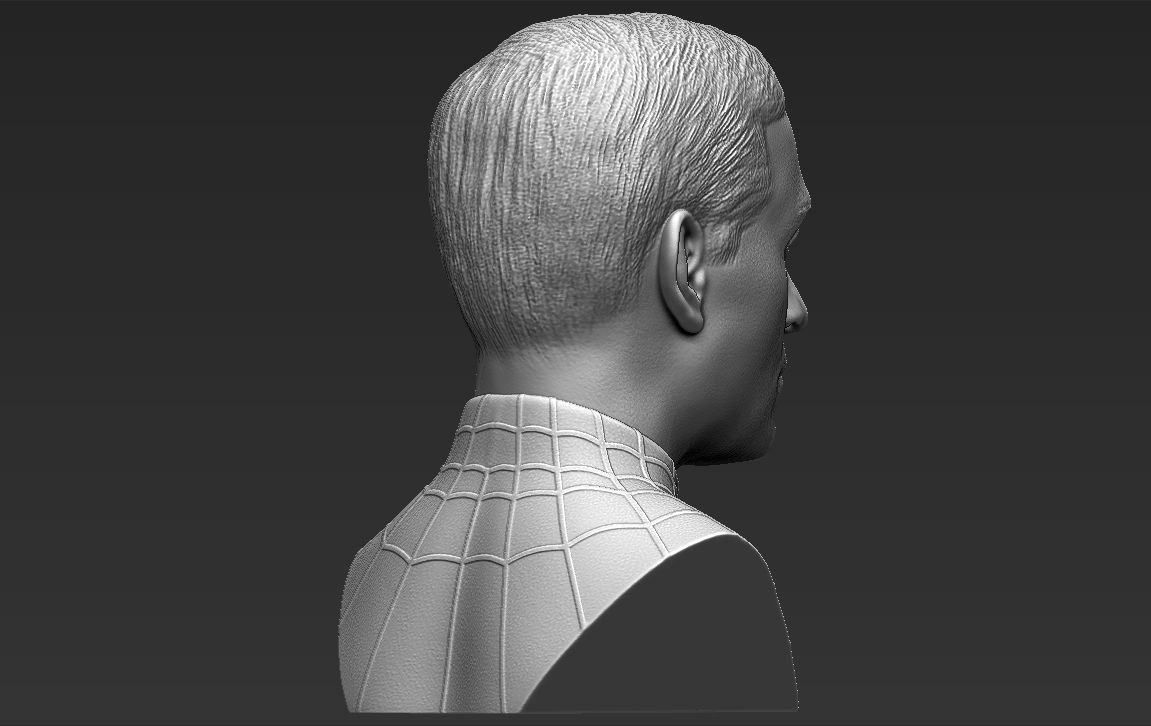 Spider-Man Tobey Maguire bust 3D printing ready stl obj formats 3D print model_11