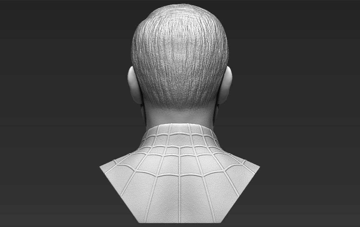 Spider-Man Tobey Maguire bust 3D printing ready stl obj formats 3D print model_10