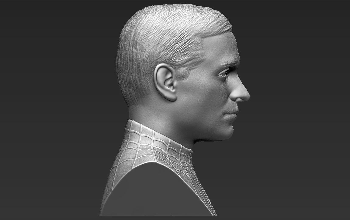Spider-Man Tobey Maguire bust 3D printing ready stl obj formats 3D print model_12