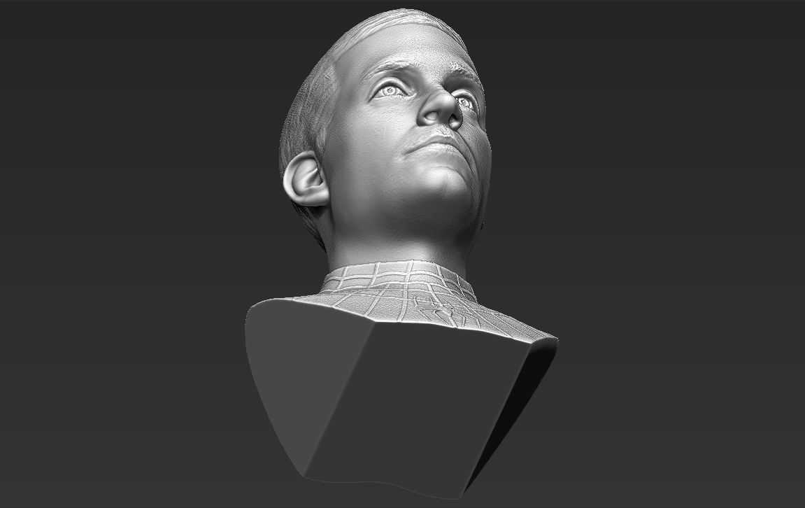 Spider-Man Tobey Maguire bust 3D printing ready stl obj formats 3D print model_28