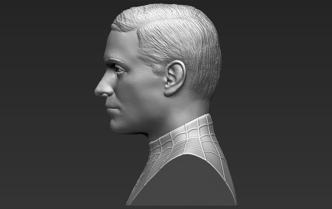 Spider-Man Tobey Maguire bust 3D printing ready stl obj formats 3D print model_8