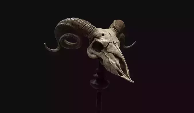 Ram Skull - Lowpoly and Highpoly Low-poly 3D model