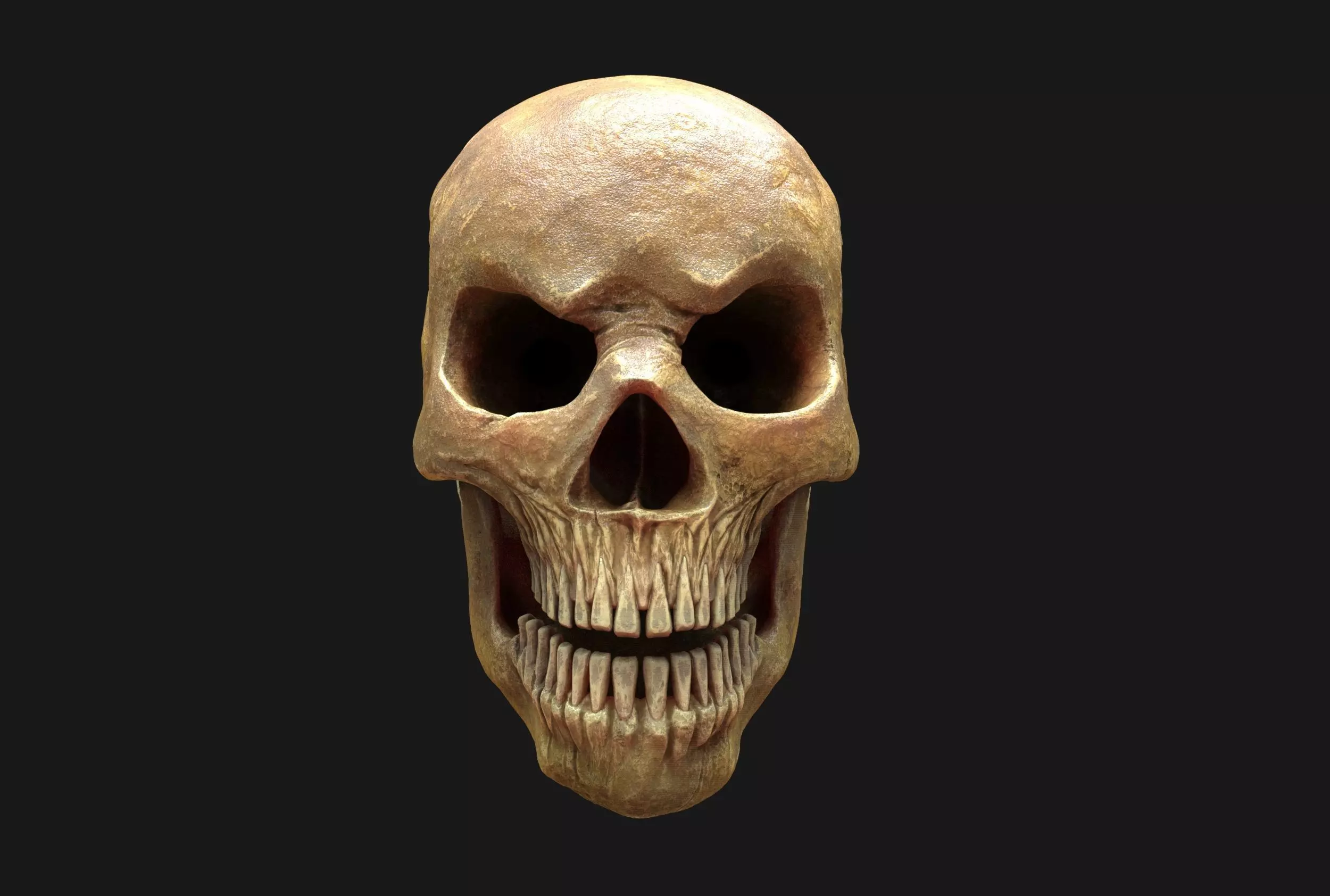 Stylized Human Skull - Highpoly and Lowpoly Low-poly 3D model_0