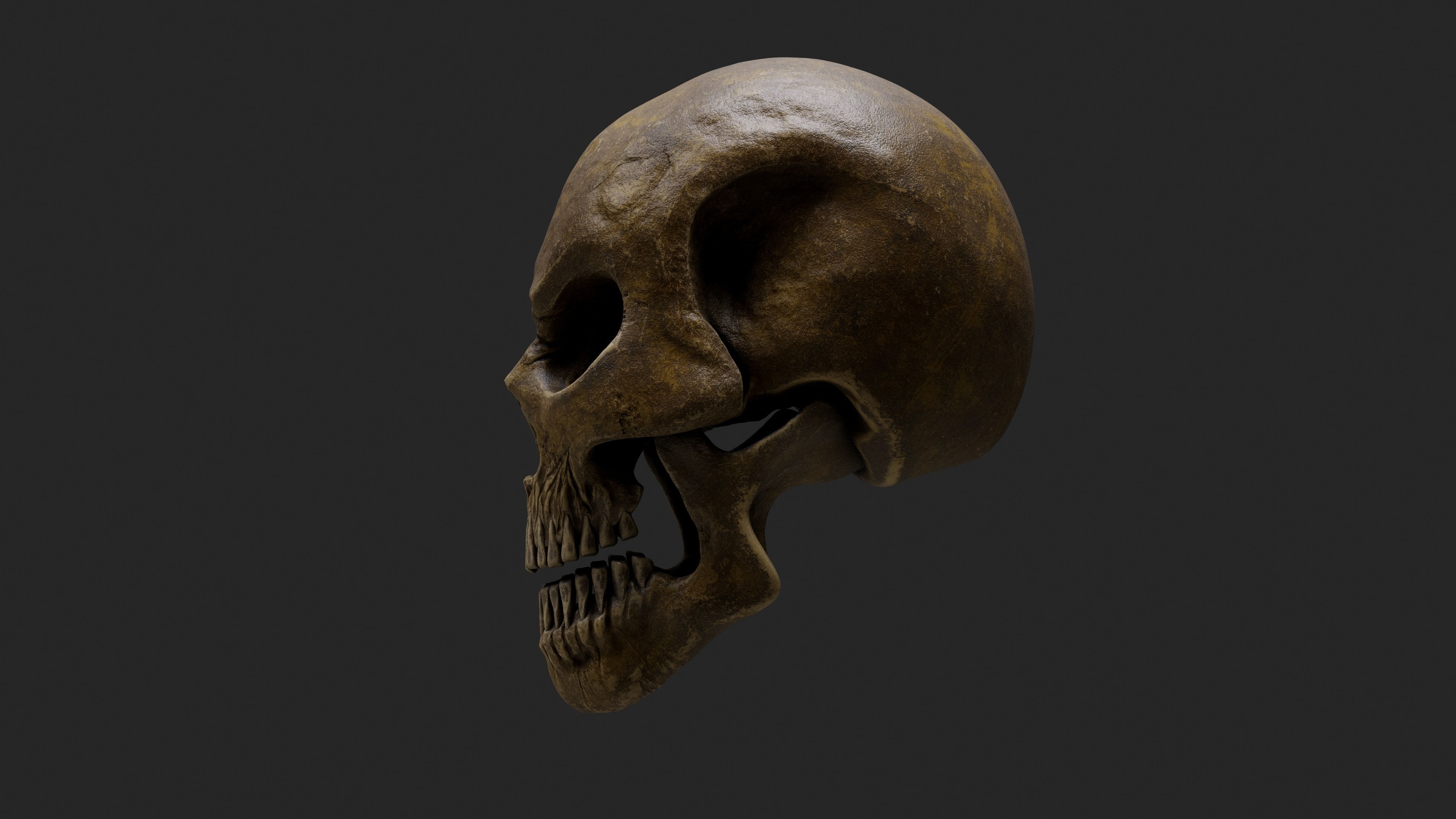 Stylized Human Skull - Highpoly and Lowpoly Low-poly 3D model_3