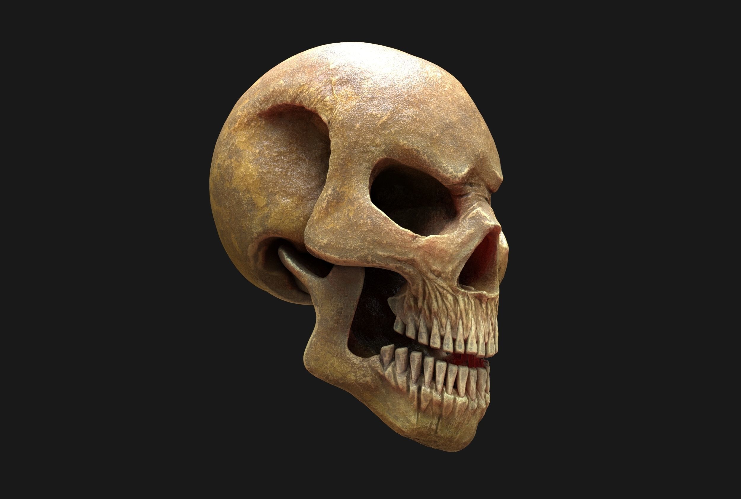 Stylized Human Skull - Highpoly and Lowpoly Low-poly 3D model_1