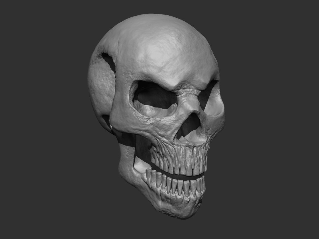 Stylized Human Skull - Highpoly and Lowpoly Low-poly 3D model_9