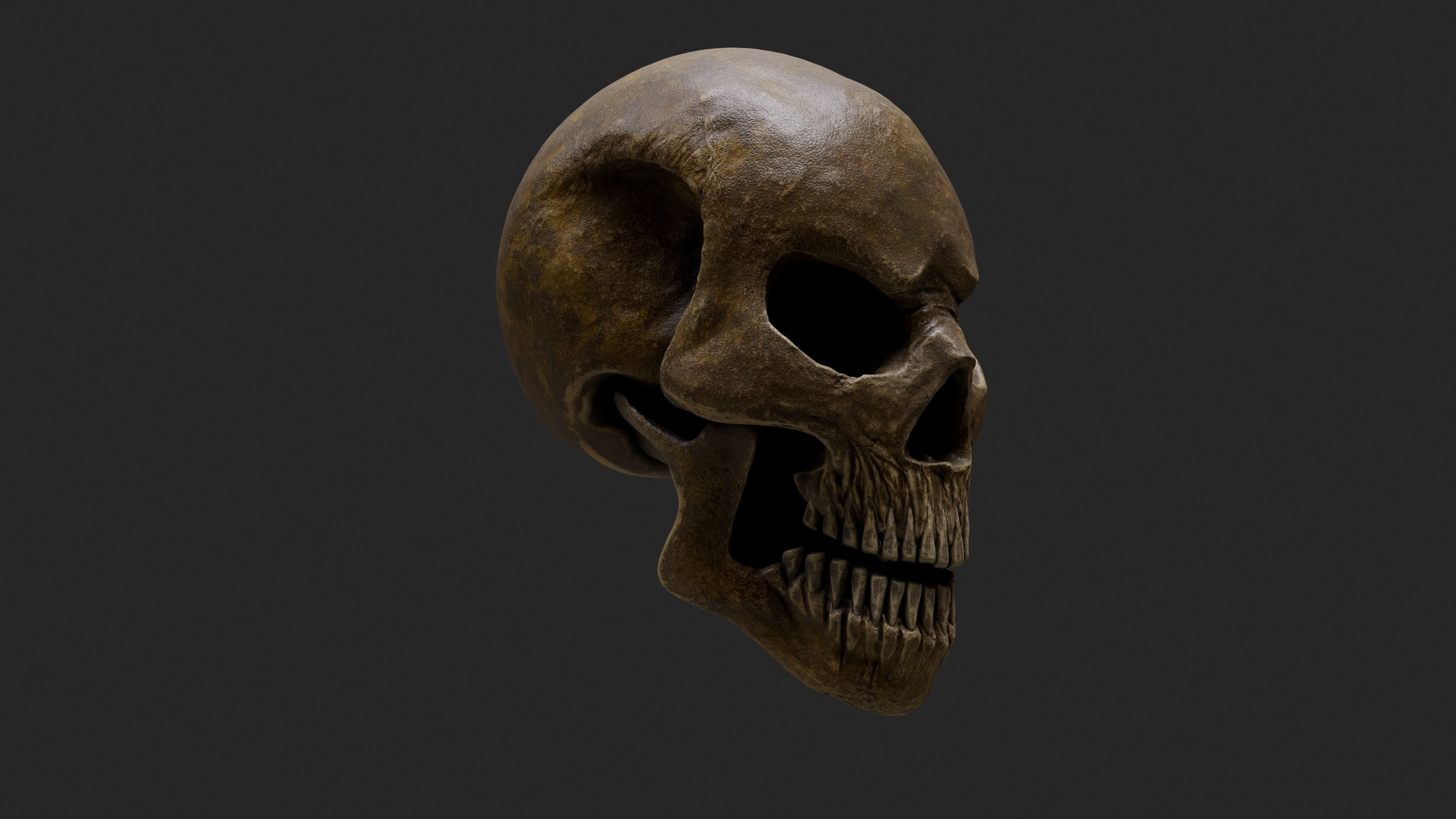 Stylized Human Skull - Highpoly and Lowpoly Low-poly 3D model_4