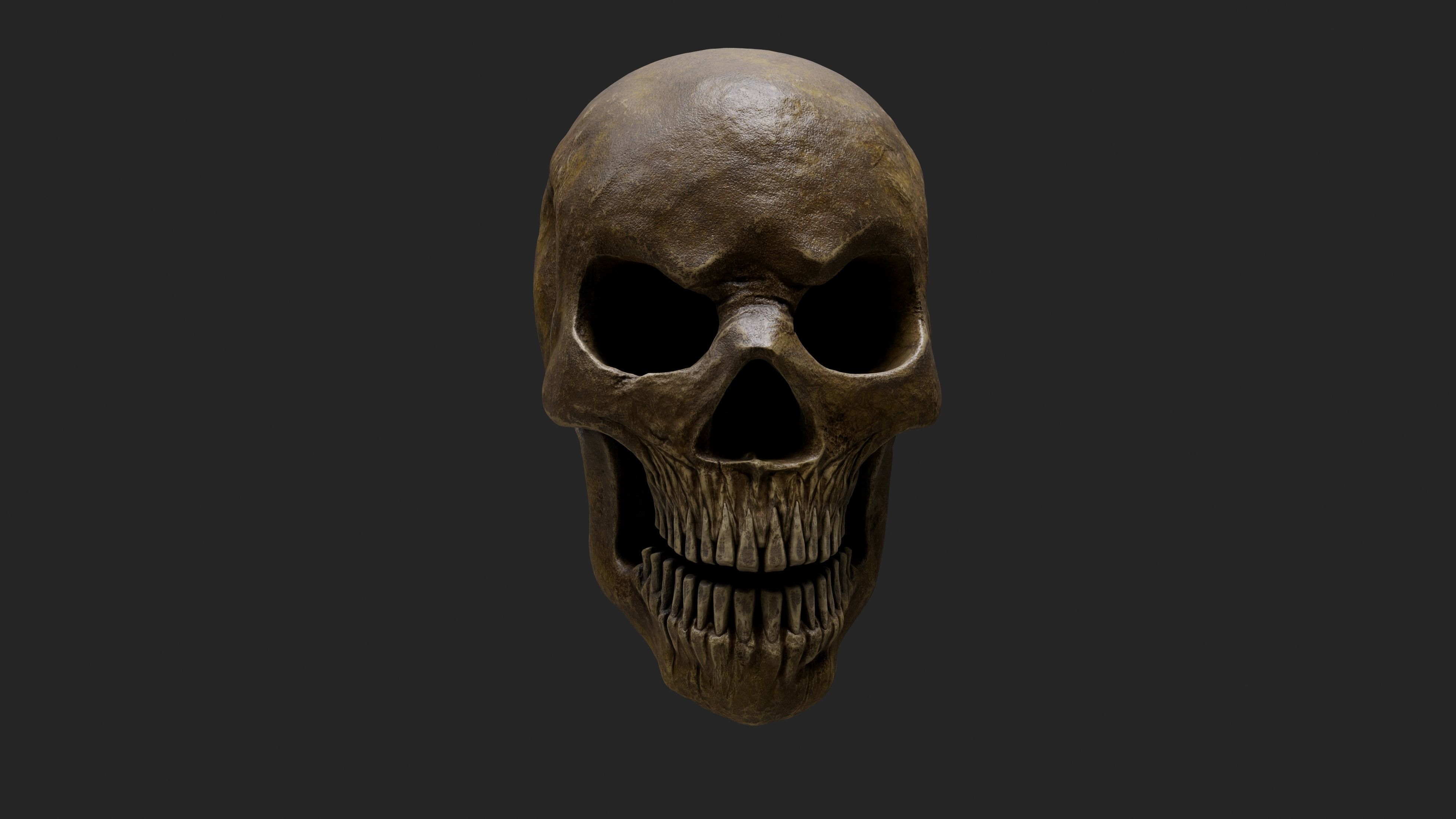 Stylized Human Skull - Highpoly and Lowpoly Low-poly 3D model_2