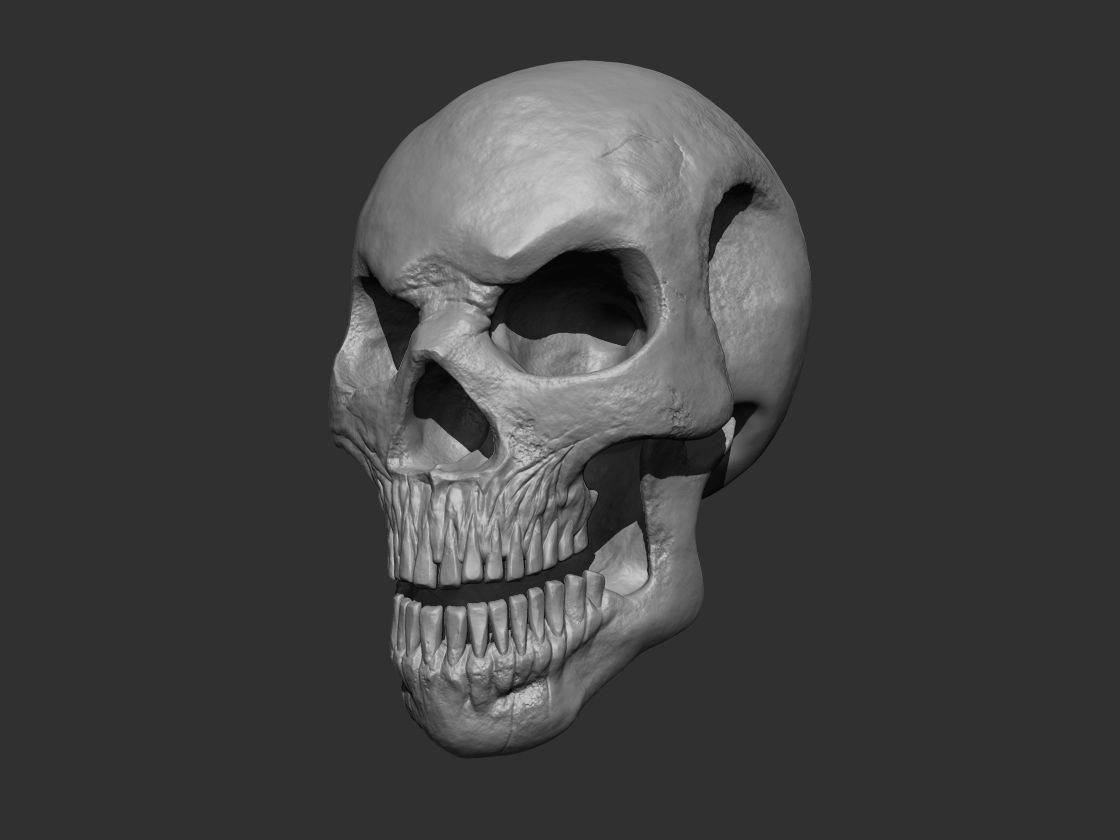 Stylized Human Skull - Highpoly and Lowpoly Low-poly 3D model_10