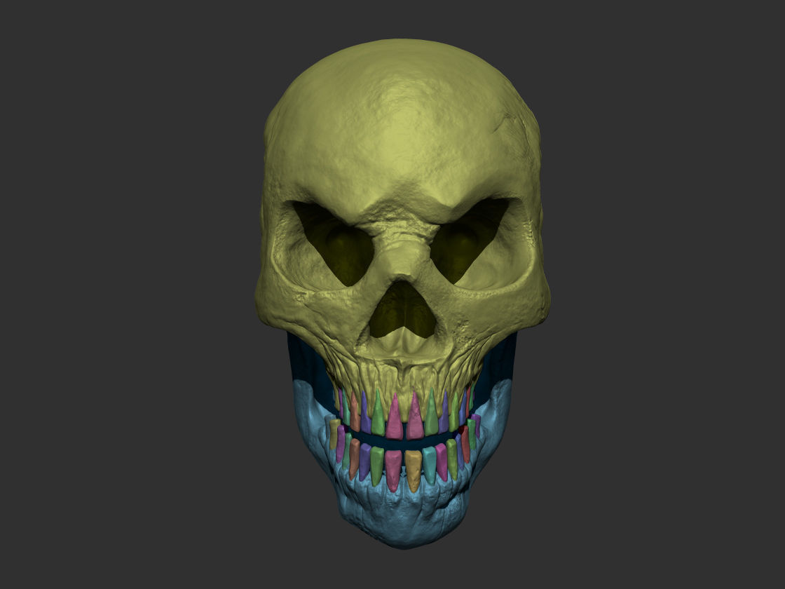 Stylized Human Skull - Highpoly and Lowpoly Low-poly 3D model_13