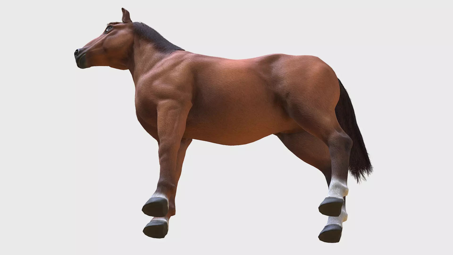 Horse - Stallion Low-poly 3D model_6