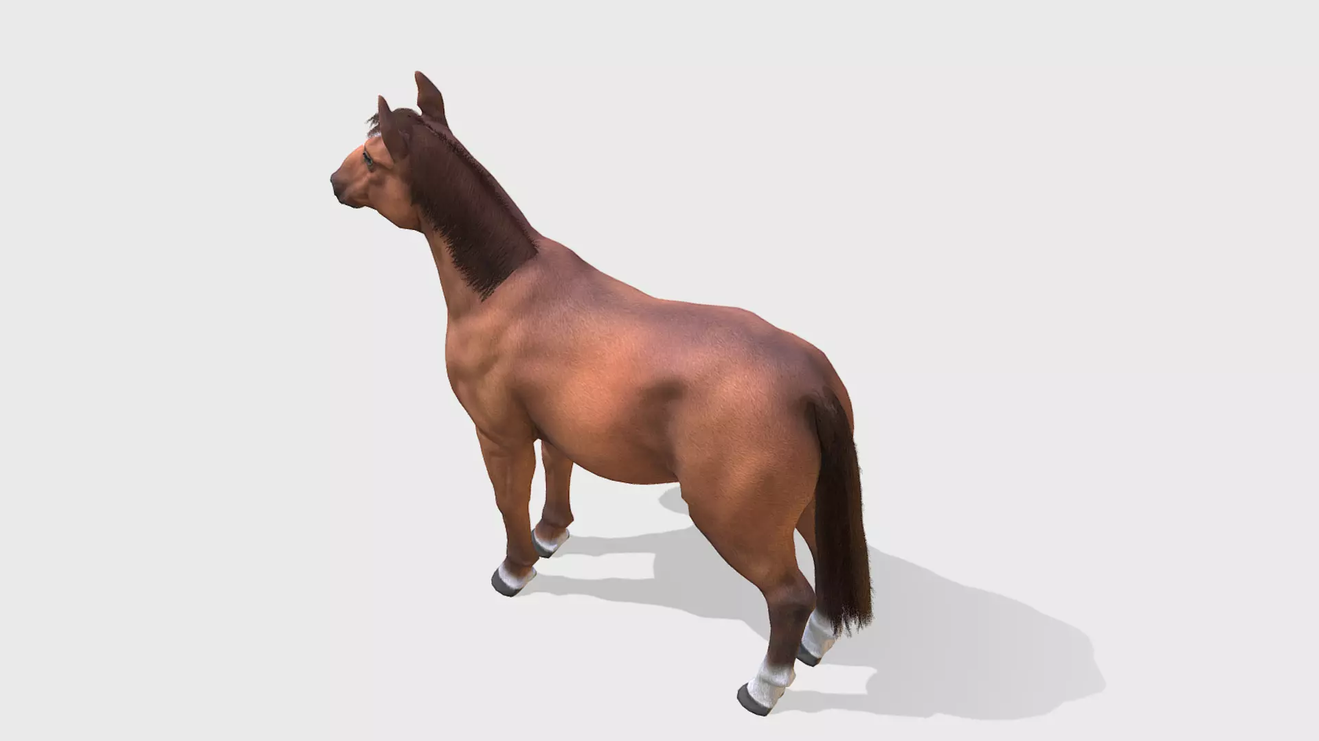Horse - Stallion Low-poly 3D model_5