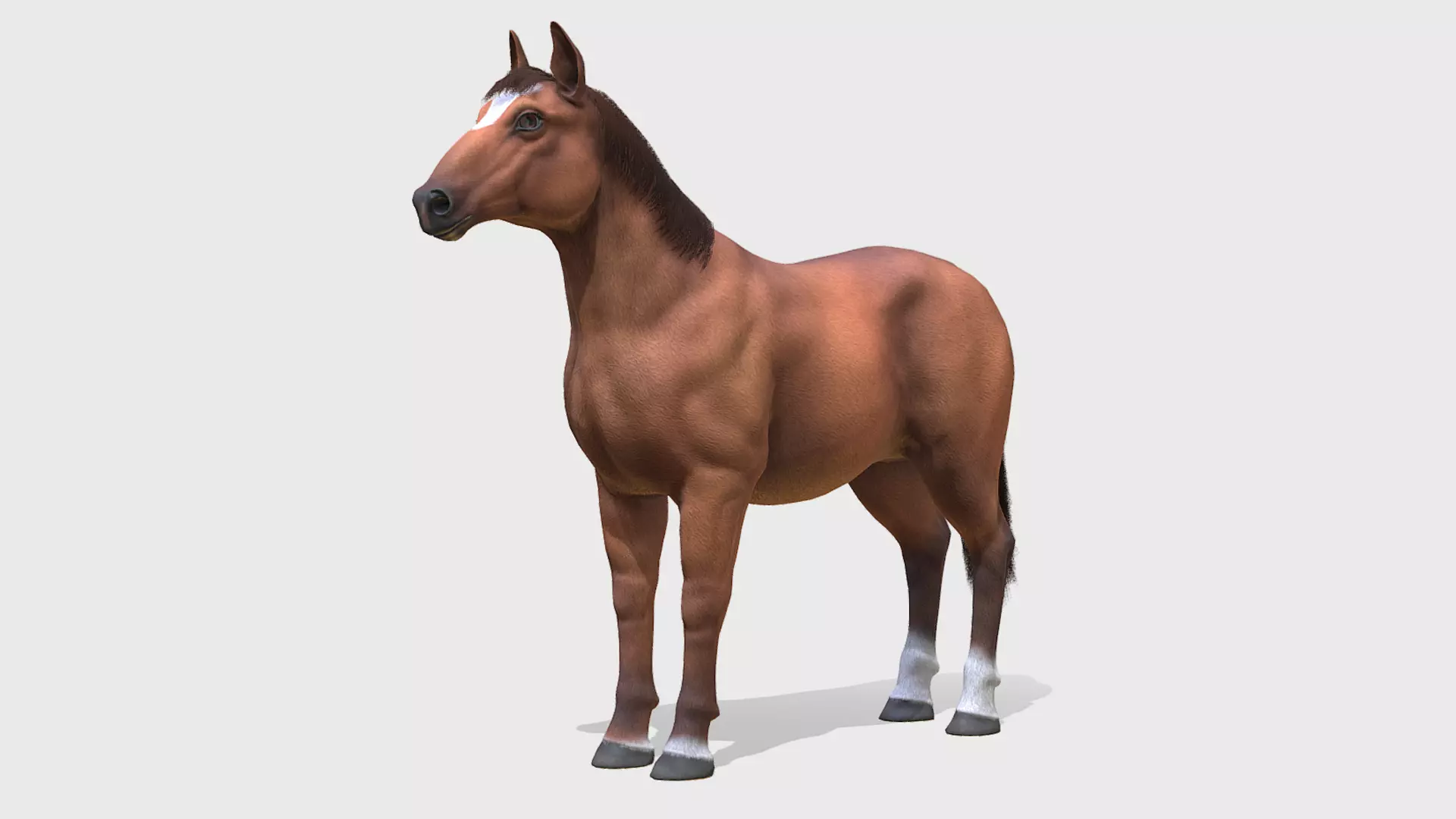 Horse - Stallion Low-poly 3D model_0