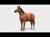 Horse - Stallion Low-poly 3D model_1