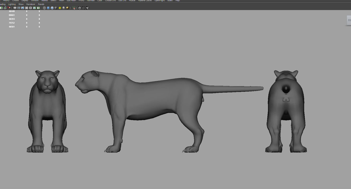 tiger3d model panther 3D model_4