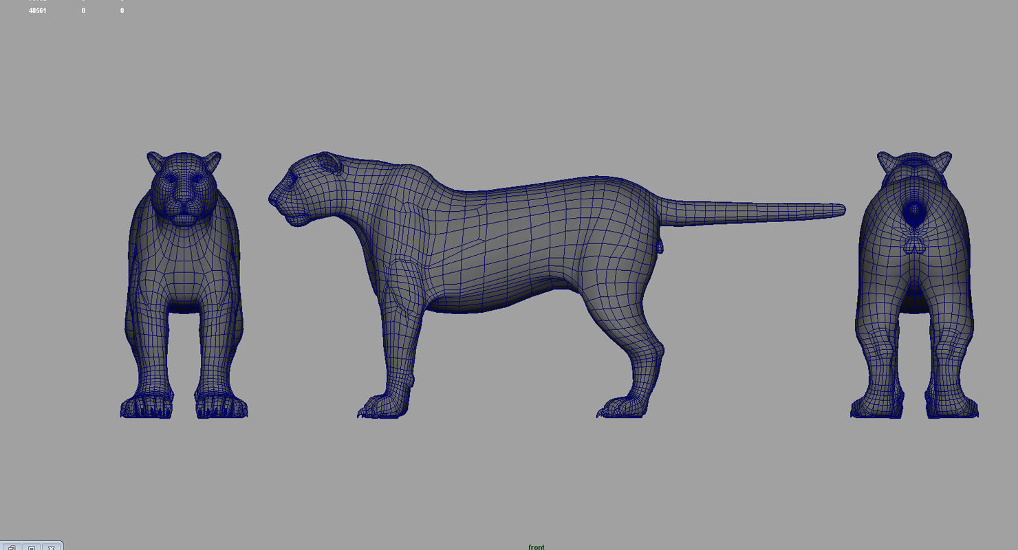 tiger3d model panther 3D model_5