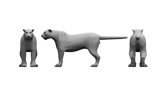 tiger3d model panther