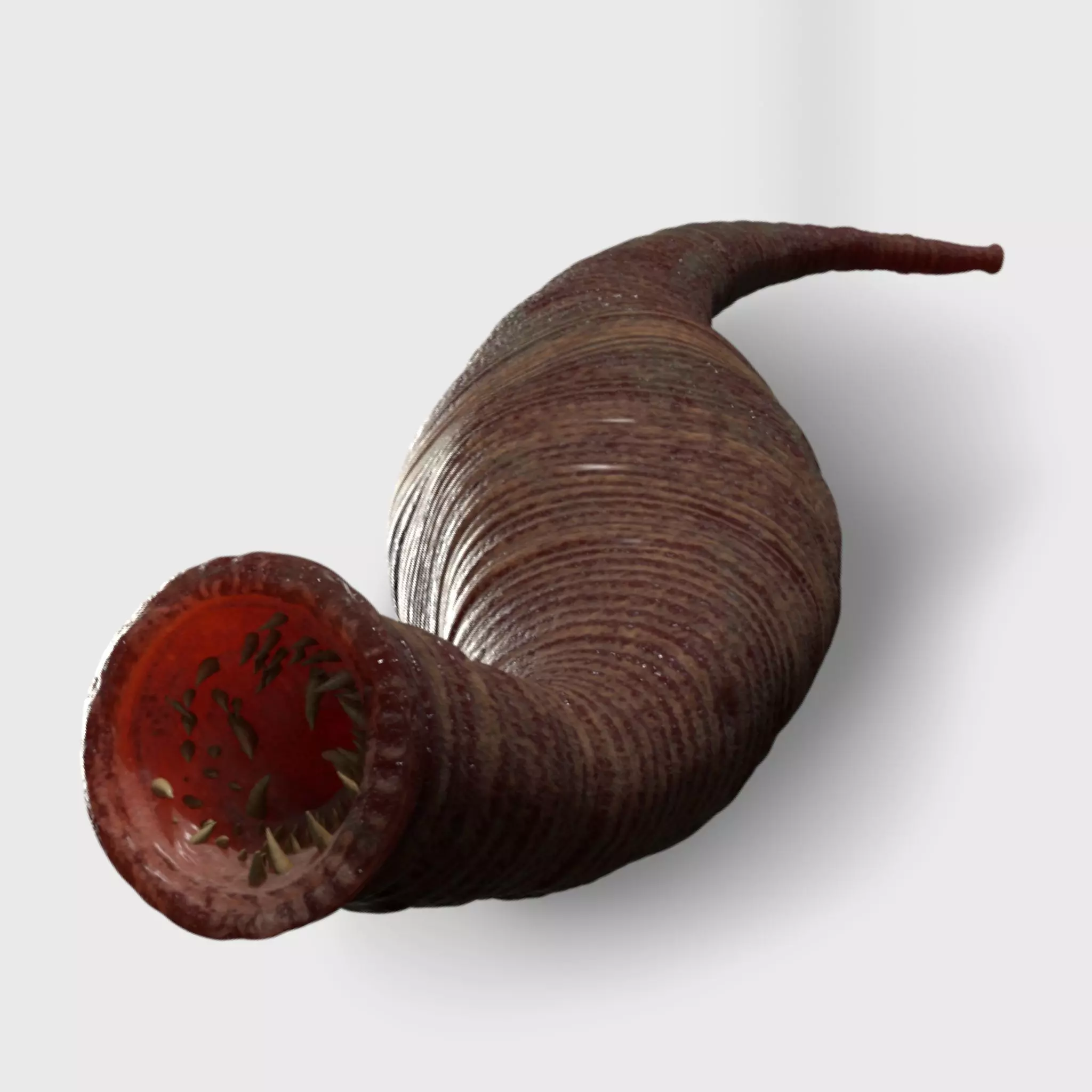 leech worm 3D model_0