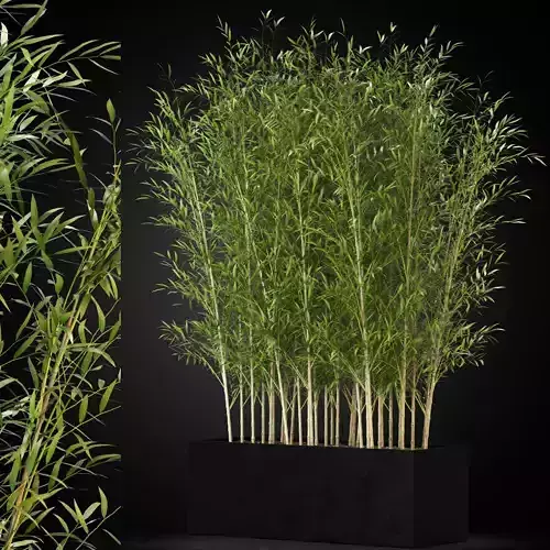 Plants collection 271 3D model
