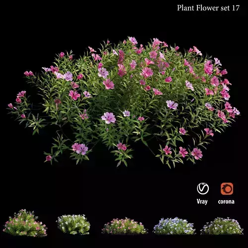 Plant Flower set 17 3D model