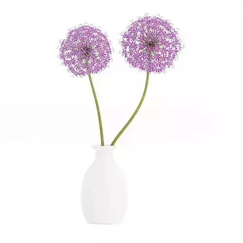 Small Purple Flowers in White Vase 3D model