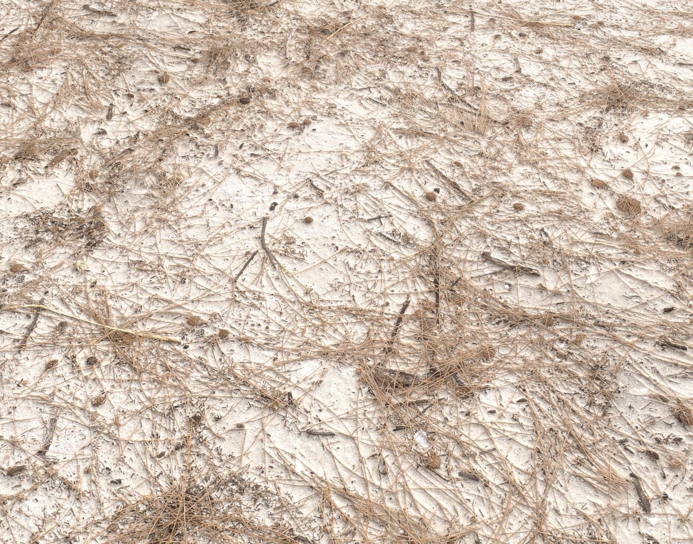 Dirty sand terrain PBR pack 1 Texture_18
