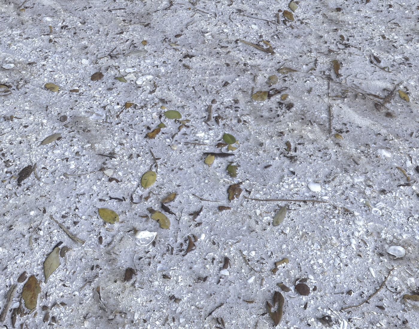 Dirty sand terrain PBR pack 1 Texture_15