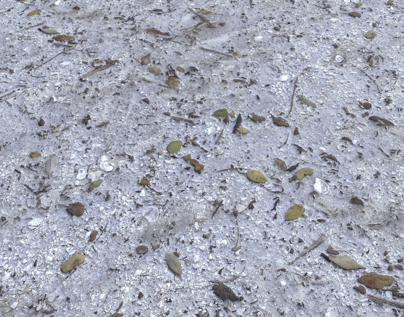 Dirty sand terrain PBR pack 1 Texture_14