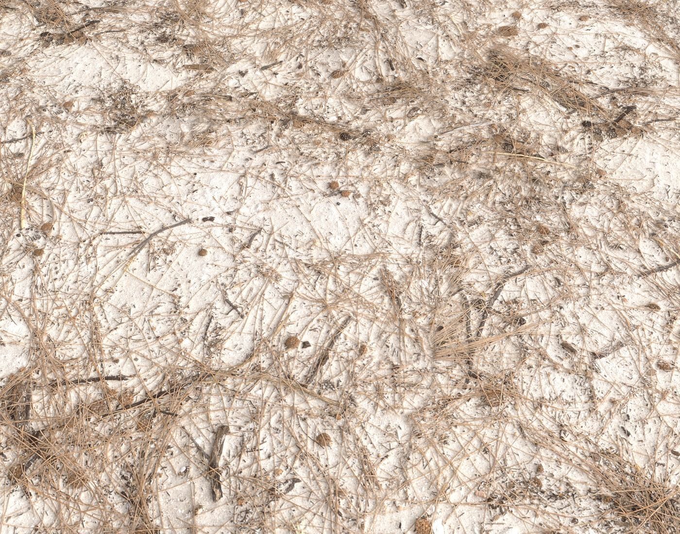 Dirty sand terrain PBR pack 1 Texture_19