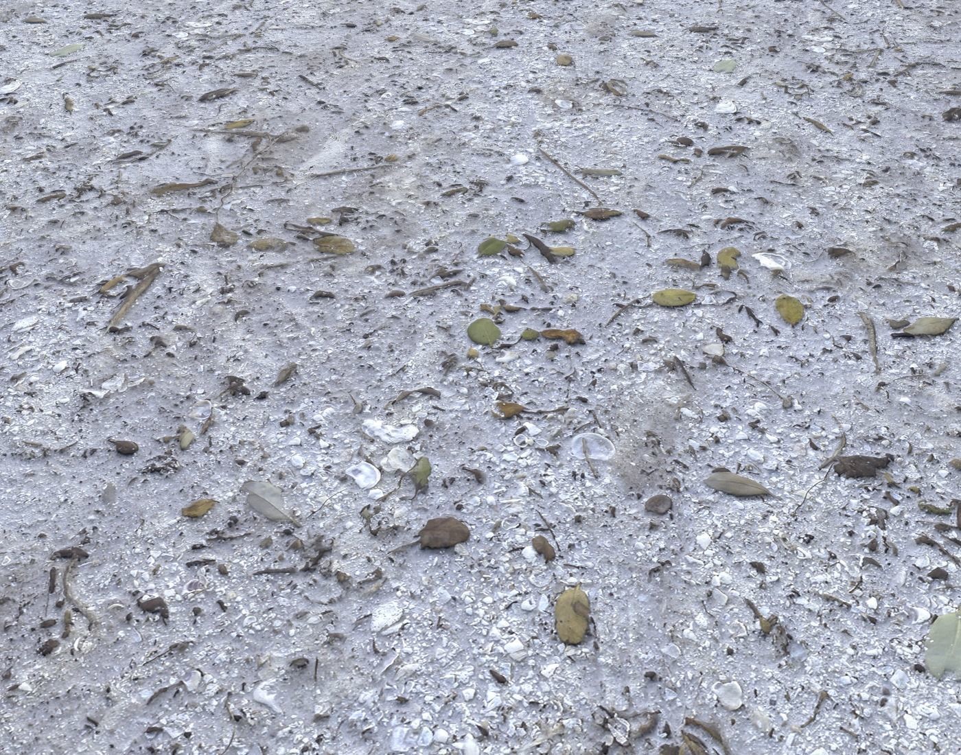 Dirty sand terrain PBR pack 1 Texture_16