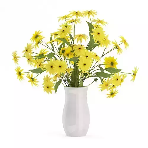 Coneflowers in Ceramic Vase