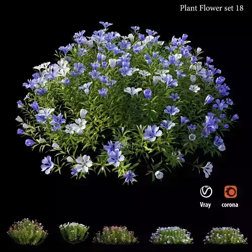 Plant Flower set 18 3D model