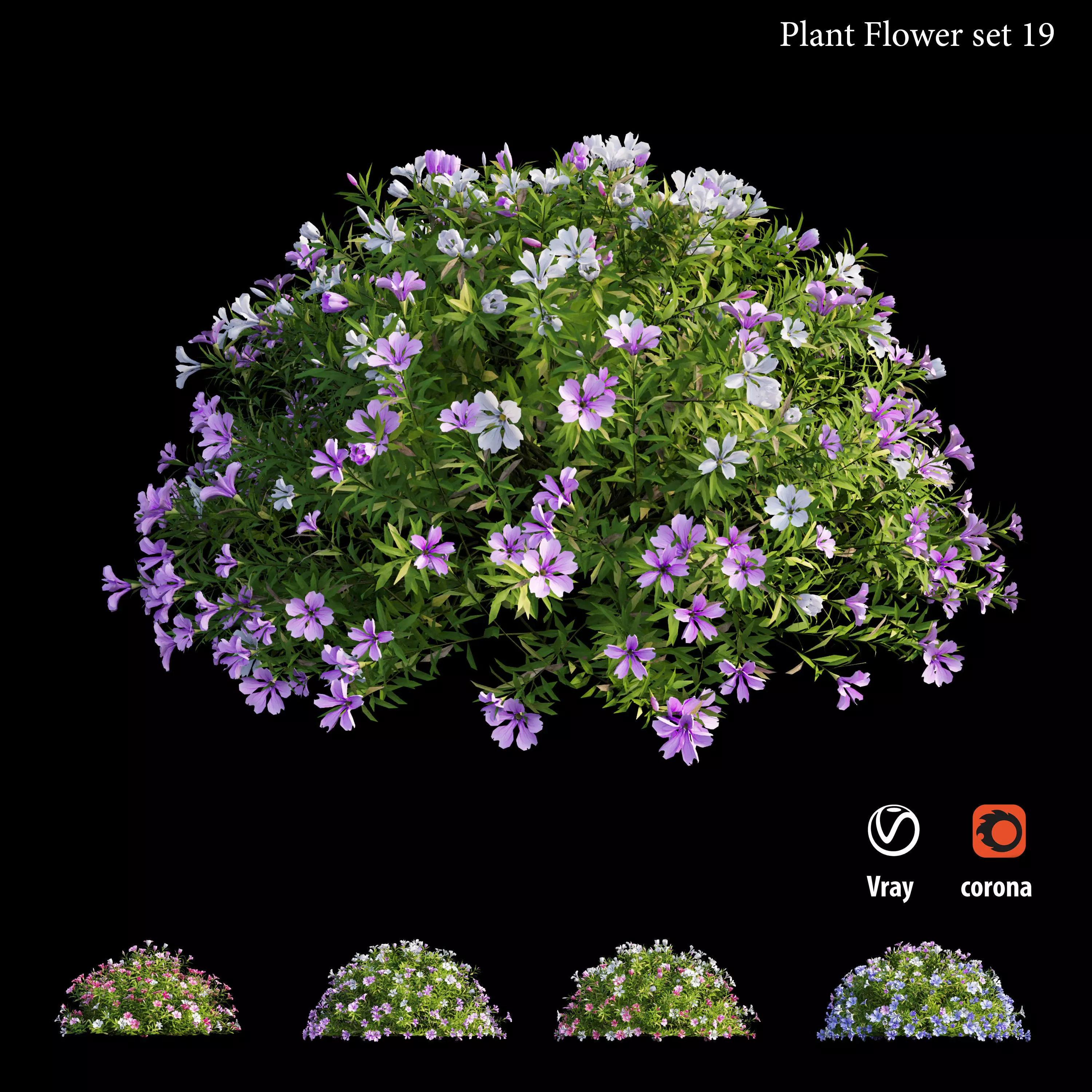 Plant Flower set 19 3D model