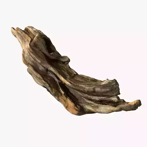 Wooden Snag  Low-poly 3D model