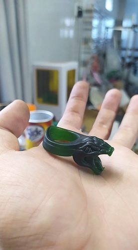Snake Ring 3D print model